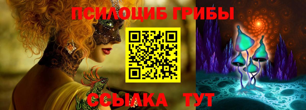 Псилоцибиновые грибы MAGIC MUSHROOMS Вышний Волочёк